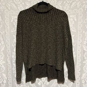 American Eagle Fuzzy Turtleneck